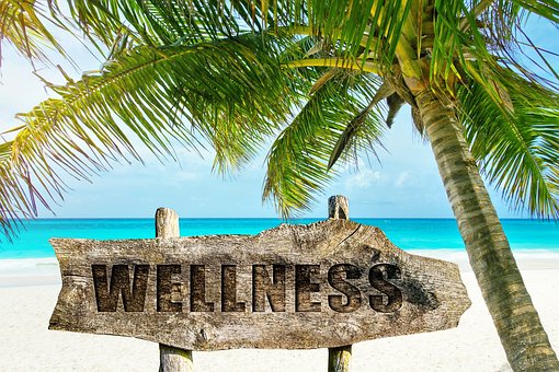 Beach Palm Tree and wellness sign