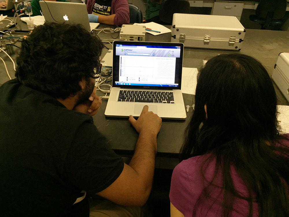 Students looking at data