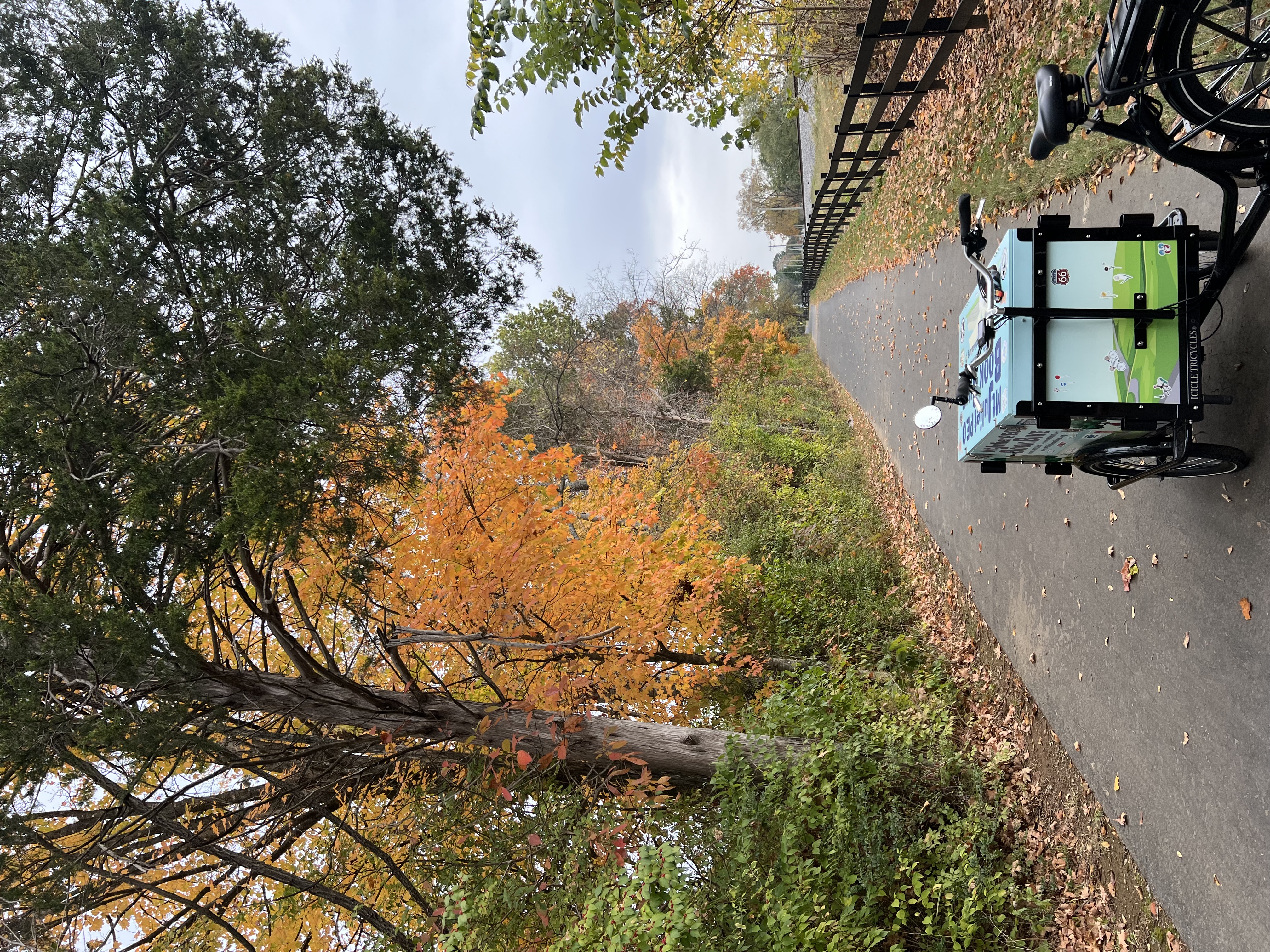 The Mt Juliet Book Bike