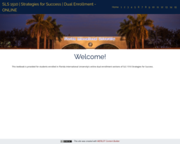 SLS 1510 | Strategies for Success | Dual Enrollment - ONLINE