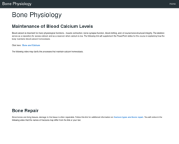 Bone Physiology
