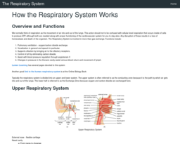 The Respiratory System