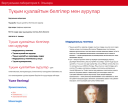 Виртуальная лаборатория К. Эльмира