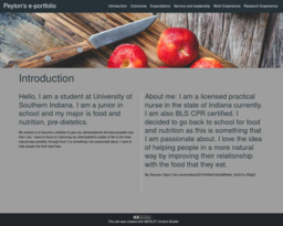 Peyton's e-portfolio