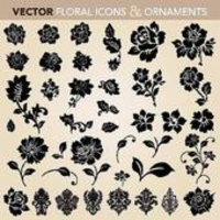 Botany Hand Book for Florida