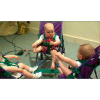 Infants’ understanding of their social worldI icon