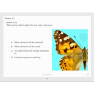 iBooks Author Starter Kit App for iOS icon