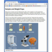 Pupa Weight Applet icon