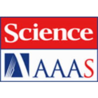 Increased structure and active learning reduce the achievement gap in introductory biology. icon