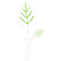 Treehugger: Green is the new green icon