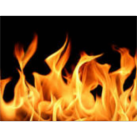 Living with Fire icon