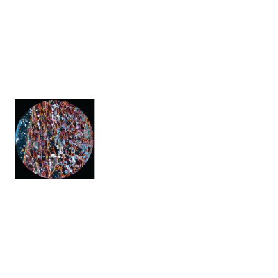 Increasing Student Success Using Online Quizzing in Introductory (Majors) Biology. icon