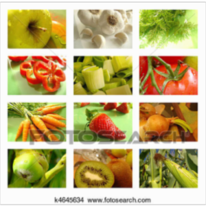 An Introduction to Nutrition