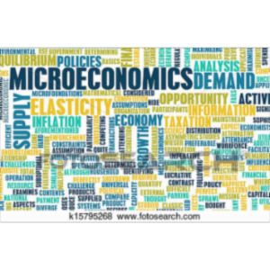 Microeconomics Principles icon
