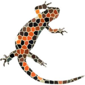 Coding in Digital Humanities icon