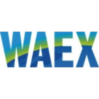 WAEX: Web Accessibility Evaluator in a Single XSLT file icon