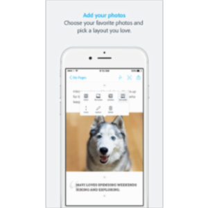 Adobe Spark Page App for iOS icon