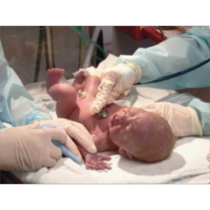 Neonatal- Nursing CE's icon