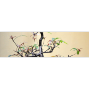 Biology Open Educational Resources icon