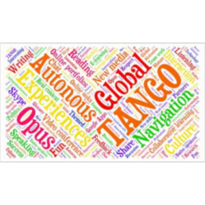 TANGO icon