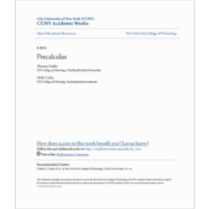 Precalculus icon