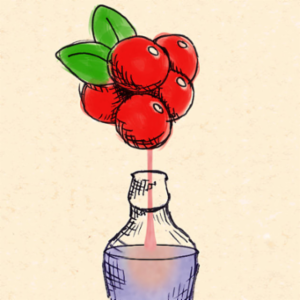 BerryMaker – DNA soda factory App for iOS icon