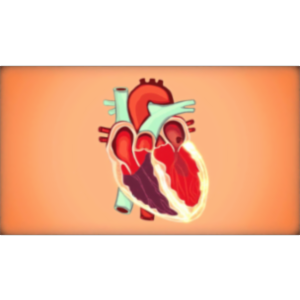 Living with Atrial Fibrillation (AFib) icon