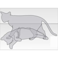 TextMap of McQuarrie and Simon