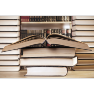 Foundations of Information Literacy icon