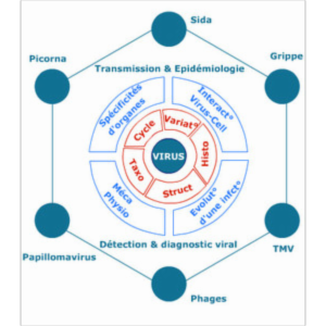 Initiation à la virologie icon