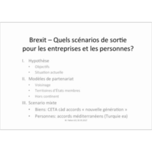 Brexit: quels scénarios de sortie pour les entreprises et les personnes? icon