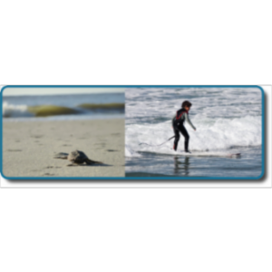 PSY06 - Psychology - Learning