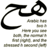 LookLex - Learn Arabic