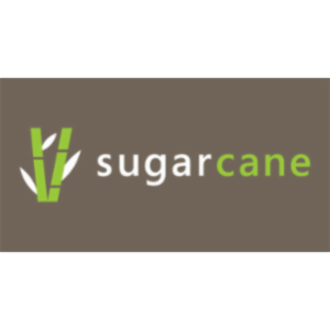 Sugarcane: Create and play your own educational games icon
