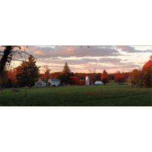 Society for Organizational Learning, North America (SOL) icon