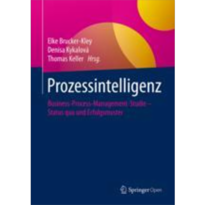 Prozessintelligenz | SpringerLink icon