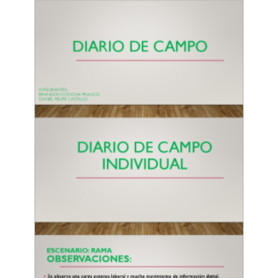 Diario de Campo