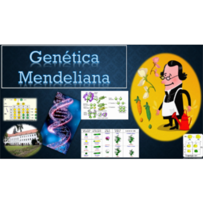 OVA GENETICA MENDELIANA icon