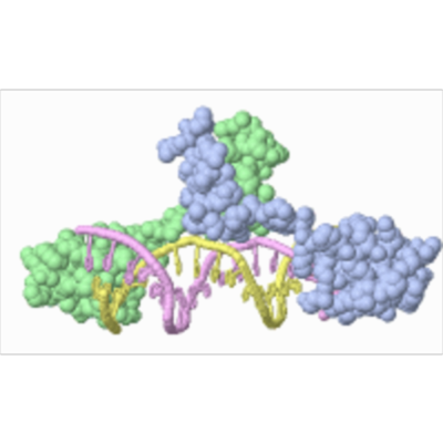 FirstGlance in Jmol: Explore Any Macromolecule icon