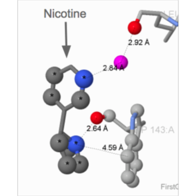 Syllabi and Assessment: Practical Protein 3D Structure Visualization & Structural Bioinformatics icon