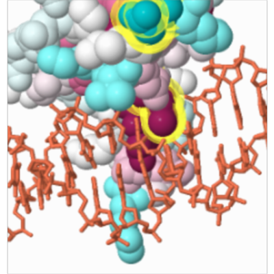 Evolutionary Conservation of Protein Amino Acids icon