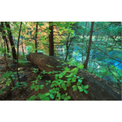 MYSTICISM: The Dark Night of the Soul, with help from Evelyn Underhill