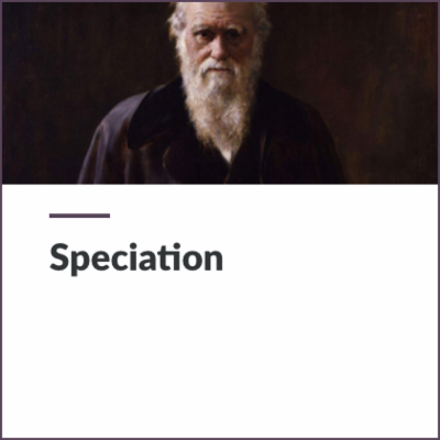 Digital Lesson - Speciation | Blending Education icon