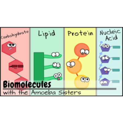 Biomolecules (Updated) icon