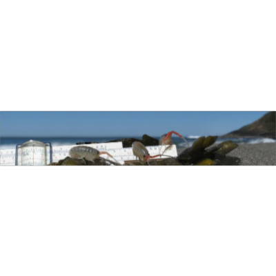 Introduction  - Handbook of Biological Statistics icon