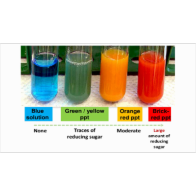 Benedict's Test- Principle, Composition, Preparation, Procedure and Result Interpretation icon
