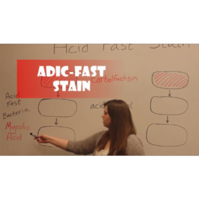 Acid-Fast Stain (Video) icon