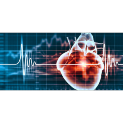 Heart Murmur? Listening For Heart Sounds (With Audio) - Ausmed icon