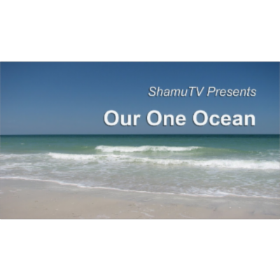 ShamuTV Our One Ocean (Full Show) | SeaWorld®
