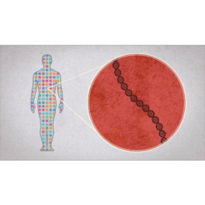 How to sequence the human genome - Mark J. Kiel